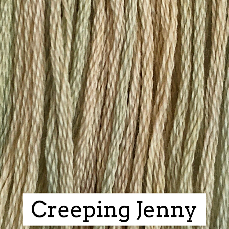Creeping Jenny - Classic Colorworks