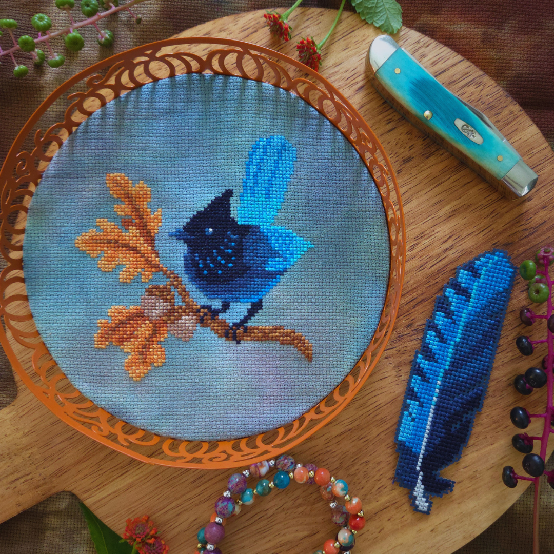 Stellar's Jay by BAD Stitch - PREORDER