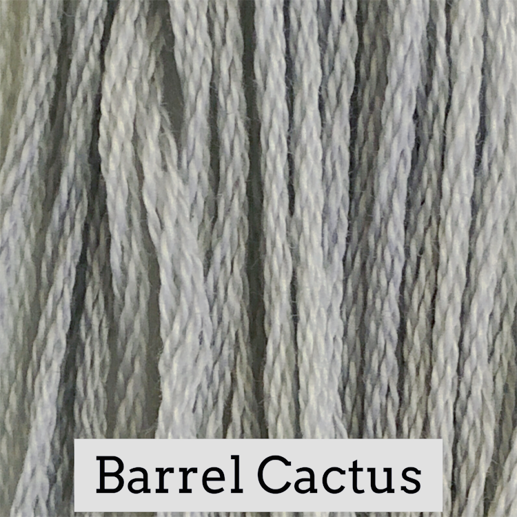 Barrel Cactus - Classic Colorworks