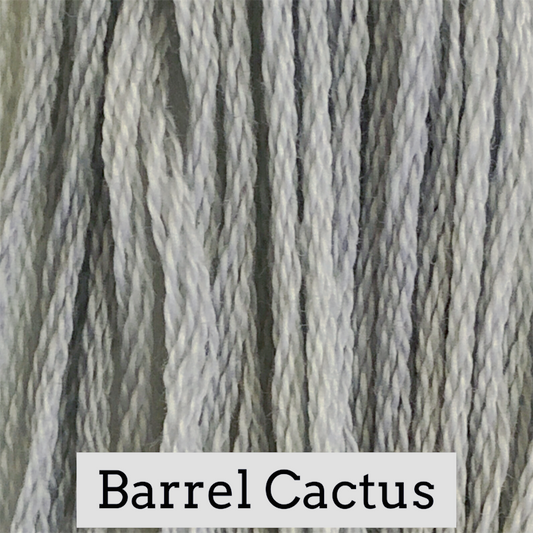 Barrel Cactus - Classic Colorworks