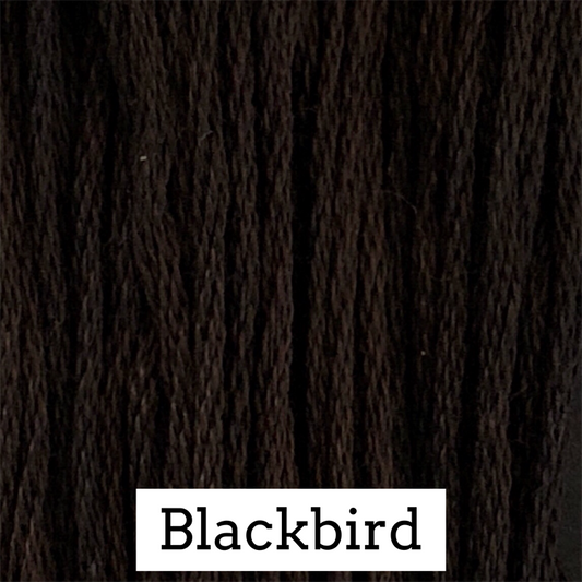 Blackbird - Classic Colorworks