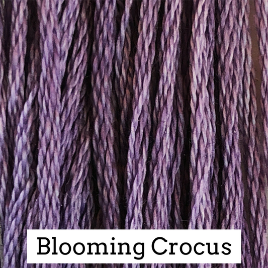 Blooming Crocus- Classic Colorworks