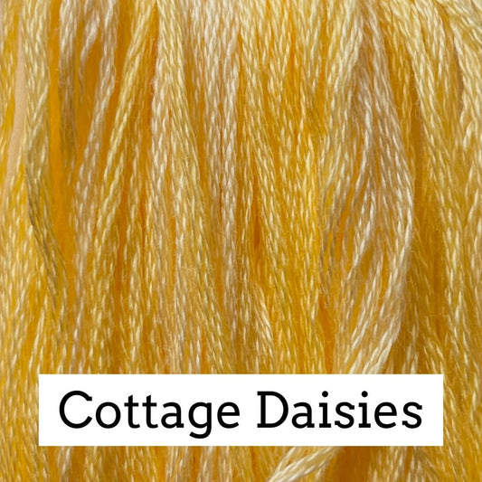 Cottage Daisies - Classic Colorworks