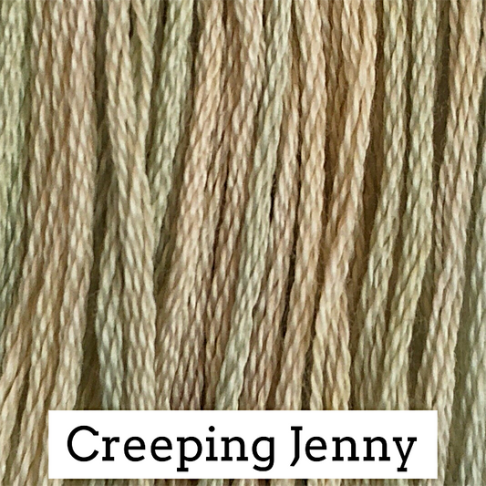 Creeping Jenny - Classic Colorworks