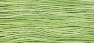 Wasabi - Weeks Dye Works