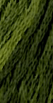 Green With Envy - The Gentle Art