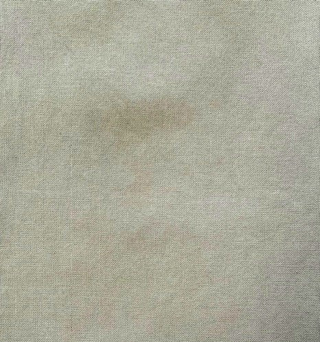 36 Count Modena - Stitcher's Quarter - "Lichen" by Under the Sea Fabrics