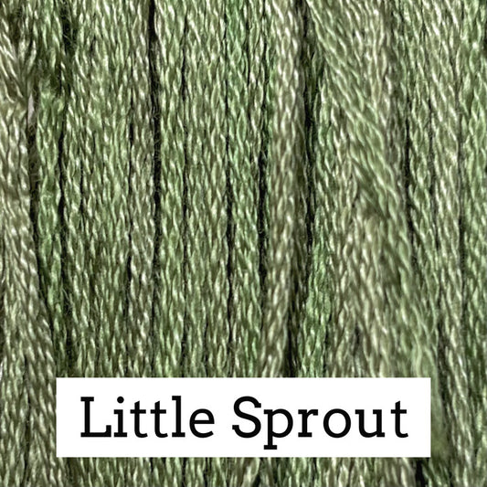 Little Sprout - Classic Colorworks