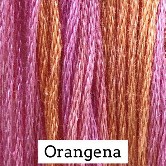 Orangena - Classic Colorworks