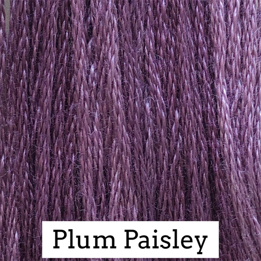 Plum Paisley - Classic Colorworks