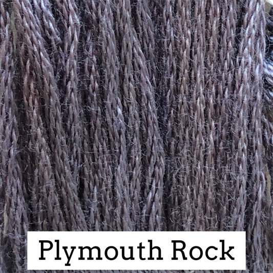 Plymouth Rock - Classic Colorworks