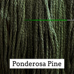 Ponderosa Pine - Classic Colorworks