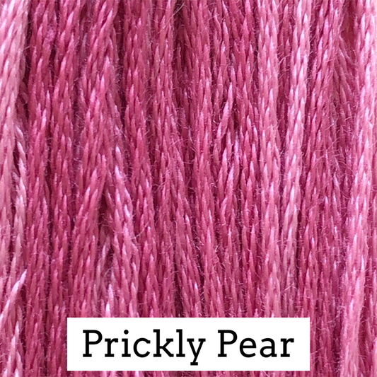 Prickly Pear - Classic Colorworks
