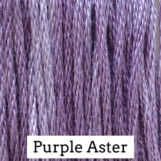 Purple Aster - Classic Colorworks