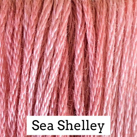 Sea Shelley - Classic Colorworks