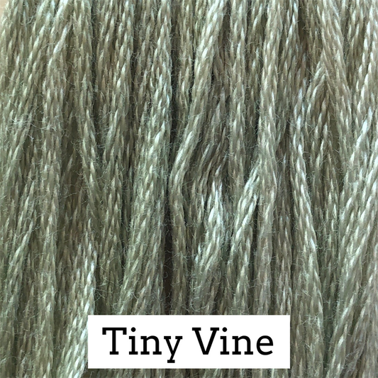 Tiny Vine - Classic Colorworks