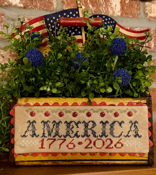 America by Violets and Verses